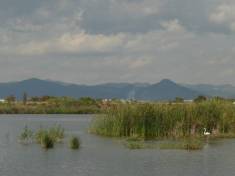 Parc Natural del Delta del Llobregat