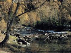 Parc Natural de l'Alt Pirineu