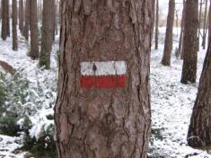 Rutes de gran recorregut