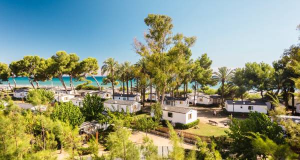 Camping Las Palmeras
