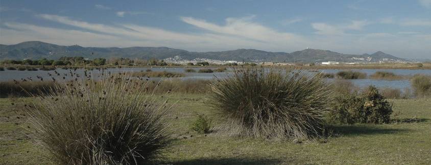 Parc Natural del Delta del Llobregat