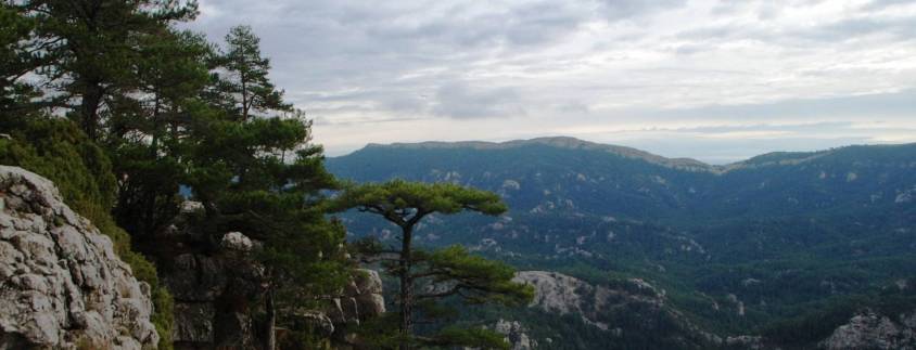 Parc Natural dels Ports